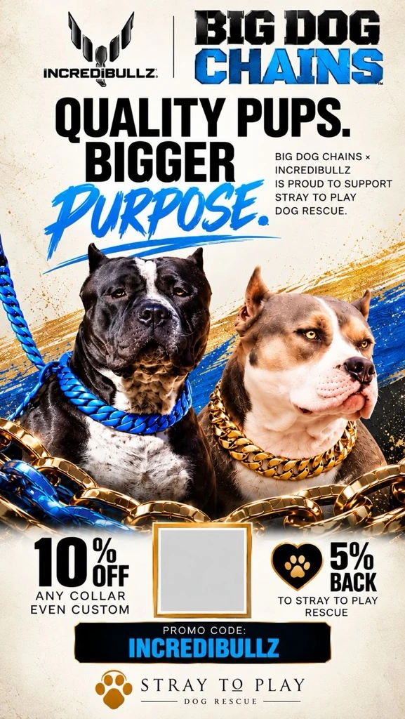 Big Dog Chains campaign poster featuring two dogs wearing chain collars.