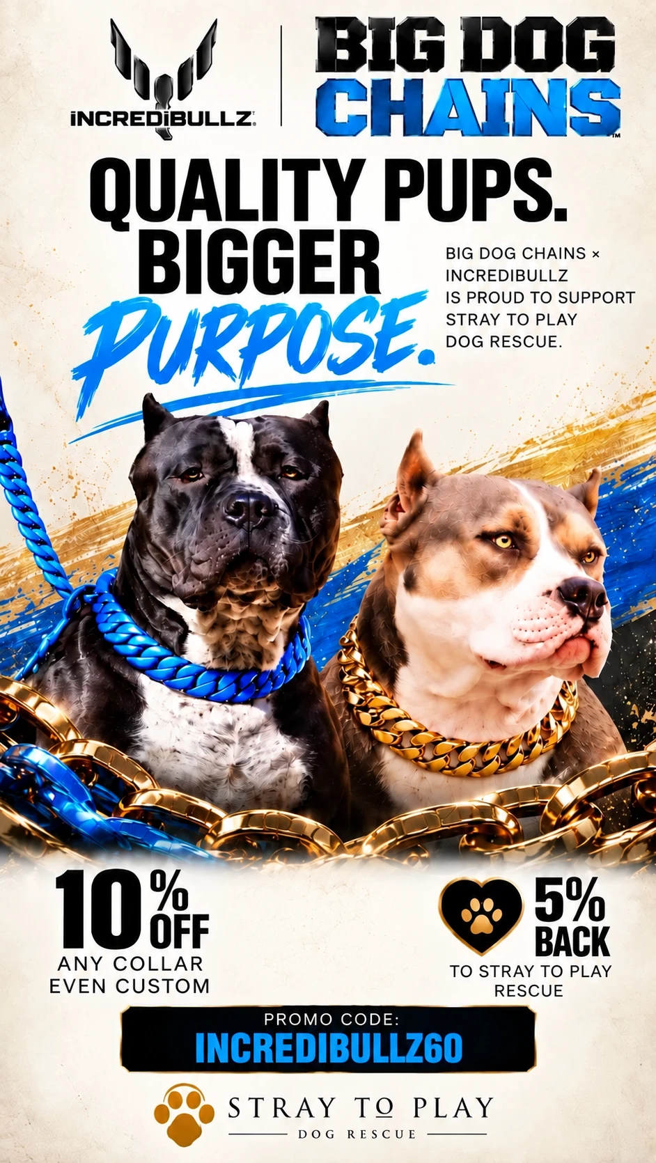 Big Dog Chains campaign poster featuring two dogs wearing chain collars.